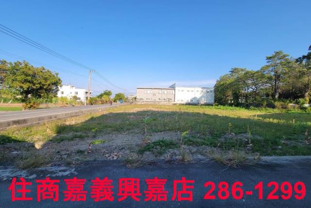 西區農地-3