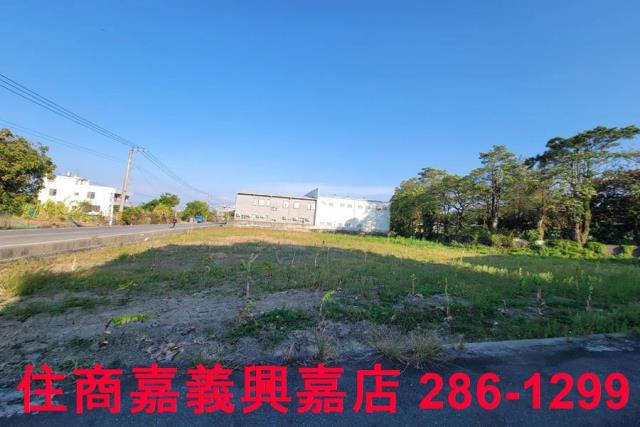 西區農地-5