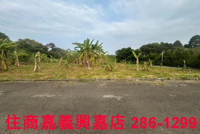 東區農地-9