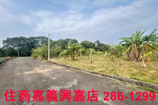 東區農地-0