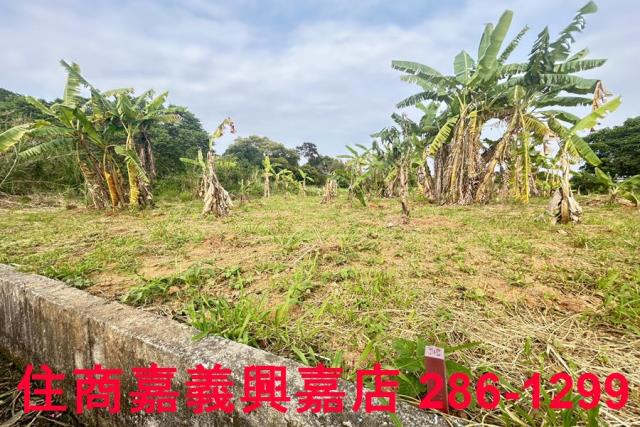 東區農地-2