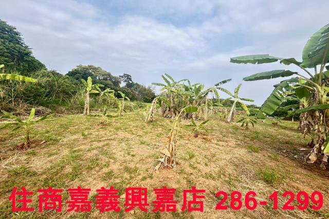 東區農地-3