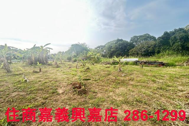 東區農地-4