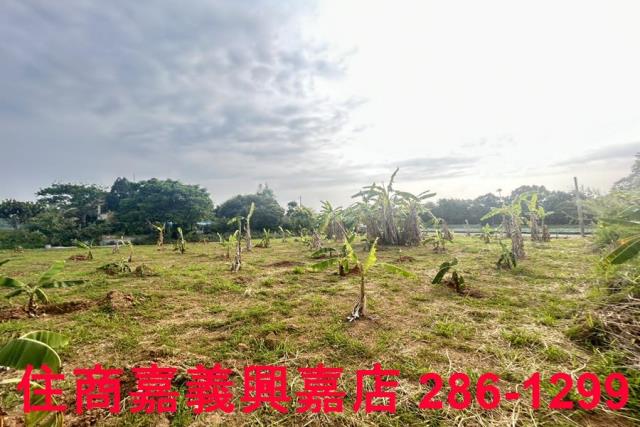 東區農地-5