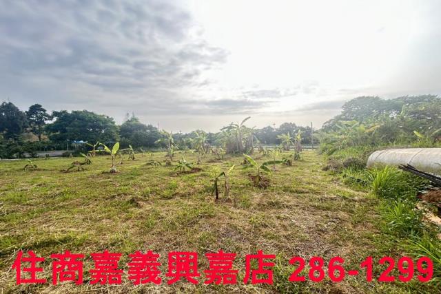 東區農地-6