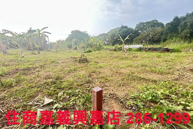 東區農地-7