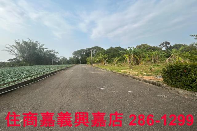 東區農地-8