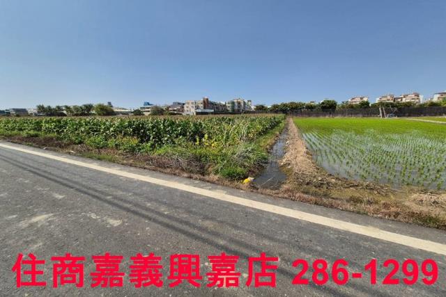 水上農地-8