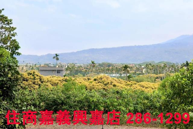 嘉義農地-9