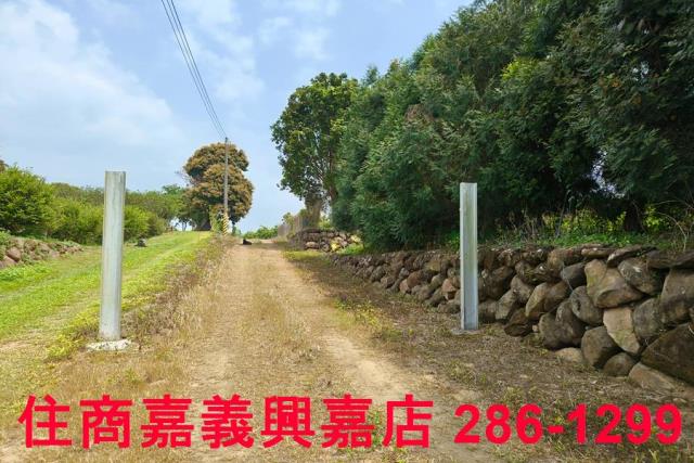 嘉義農地-0