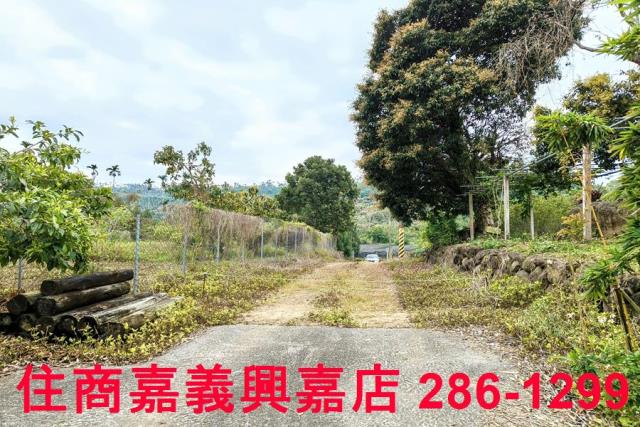 嘉義農地-1