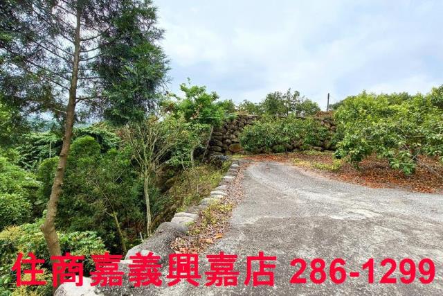 嘉義農地-6