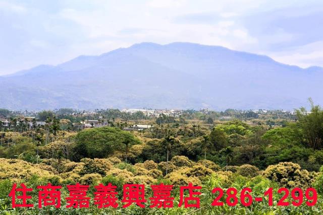嘉義農地-8
