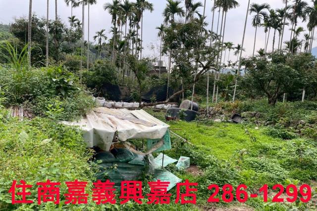 嘉義農地-6