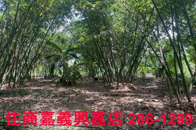 嘉義建地-3