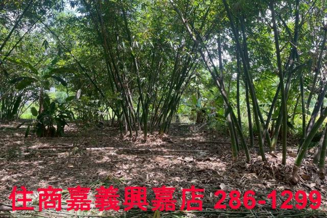 嘉義建地-4