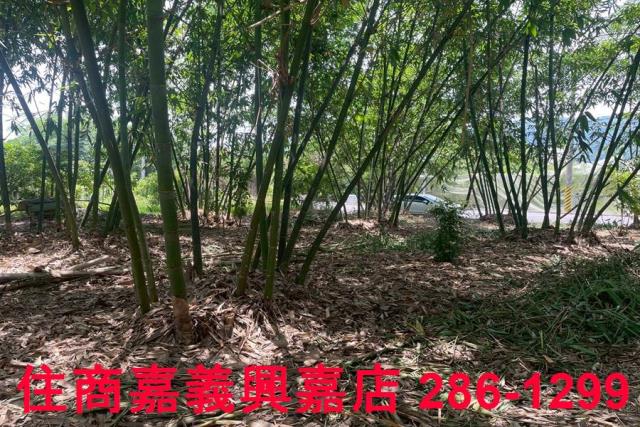 嘉義建地-6