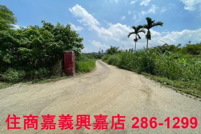 嘉義農地-9