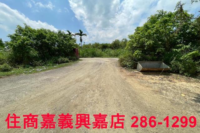 嘉義農地-6