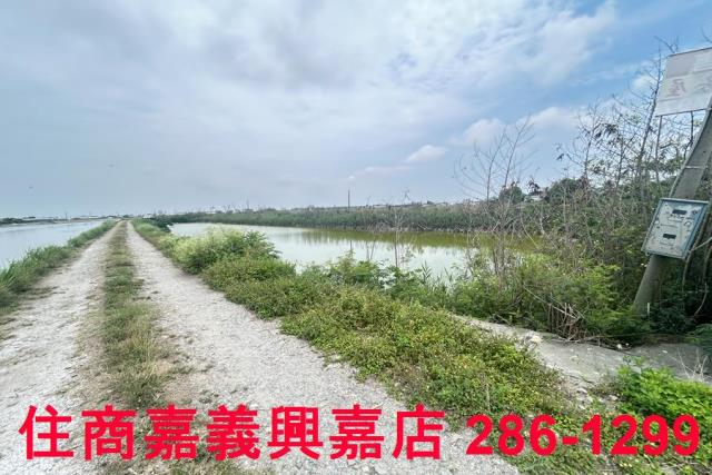 嘉義農地-1