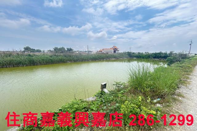 嘉義農地-3