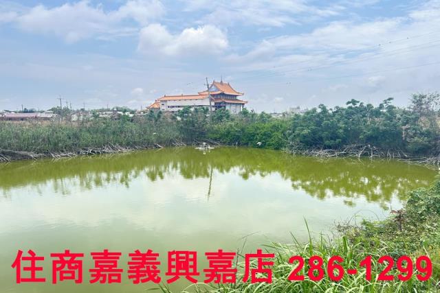 嘉義農地-4