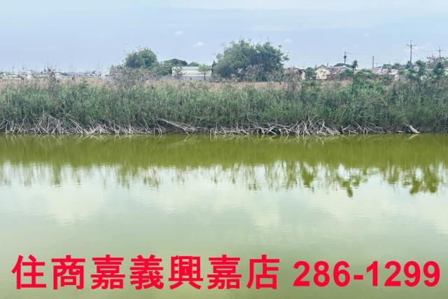 嘉義農地-5