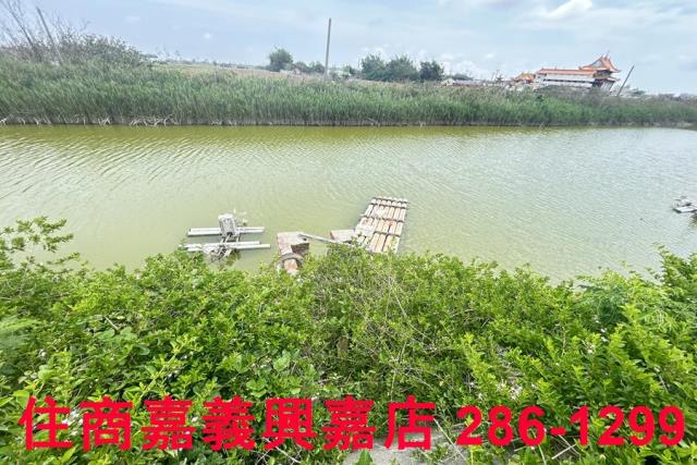 嘉義農地-6
