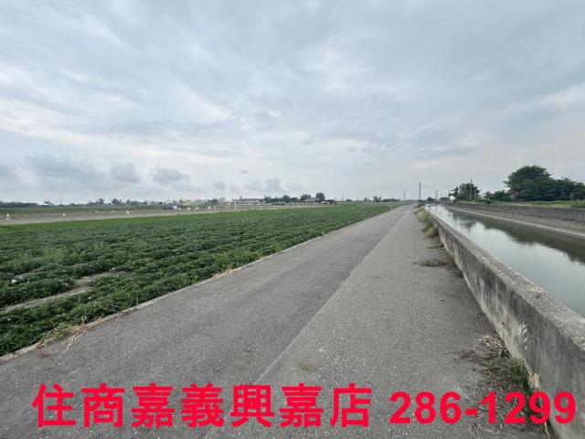 雲林農地-6