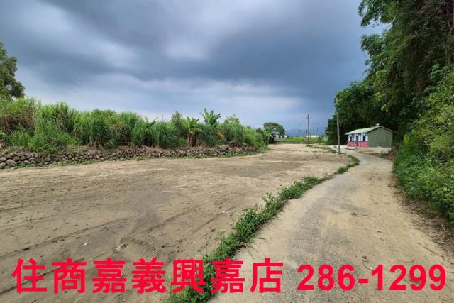 嘉義農地-7
