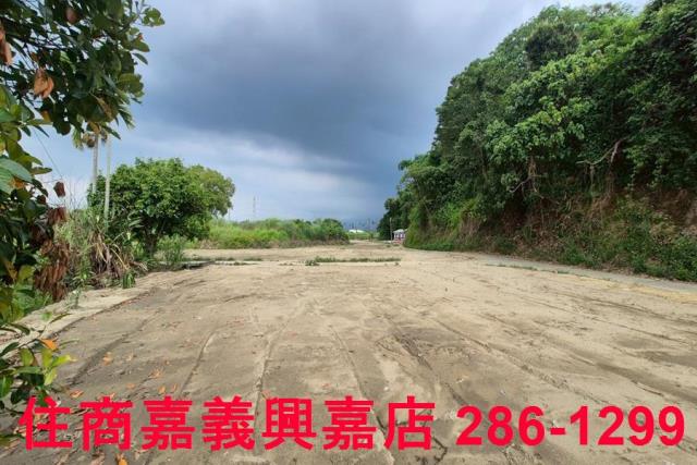 嘉義農地-8