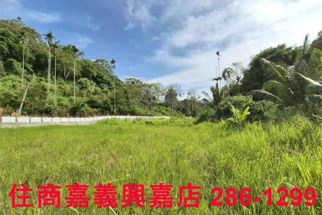 中埔農地-9