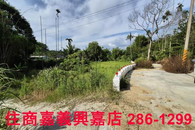 中埔農地-2
