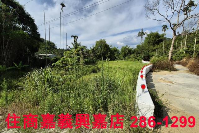 中埔農地-3