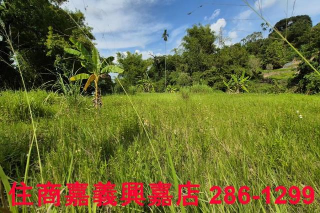 中埔農地-4