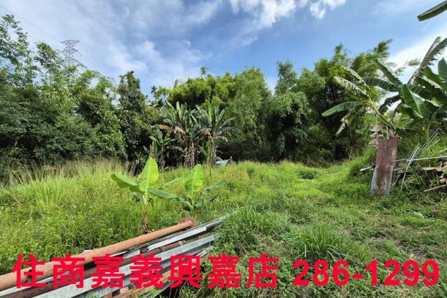 中埔農地-7