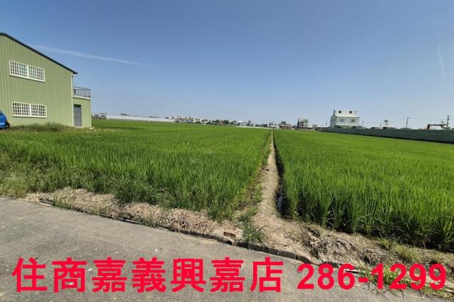 民雄農地-1
