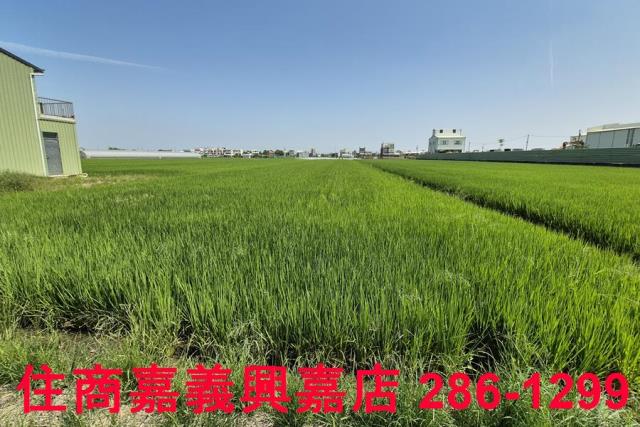 民雄農地-2