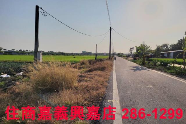 水上農地-0