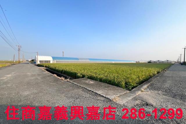太保農地-0