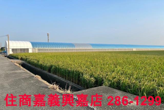 太保農地-3