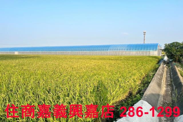 太保農地-4