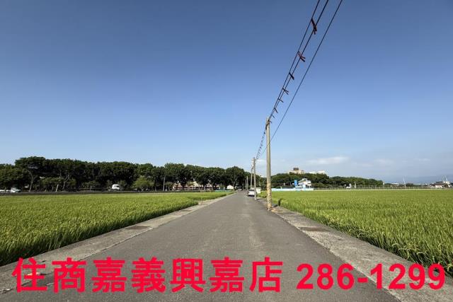 嘉義農地-9