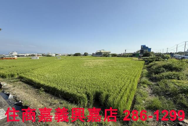 嘉義農地-1