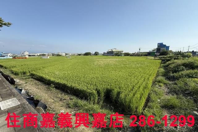 嘉義農地-2
