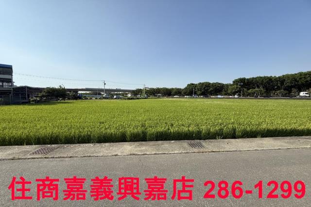嘉義農地-5