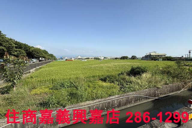 嘉義農地-6