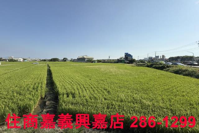 嘉義農地-7