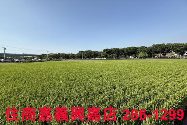 嘉義農地-8