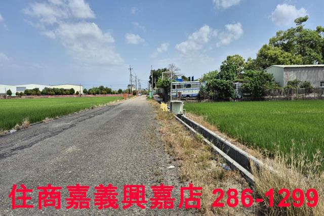 嘉義農地-9